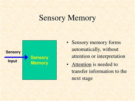 PPT - Three Stages of Memory PowerPoint Presentation, free download - ID:1110336