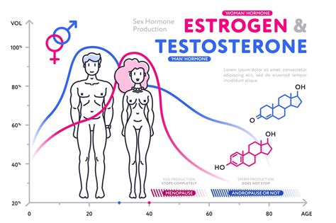 Colorful diagram in flat style showing estrogen and testosterone By Alfazet Chronicles ...