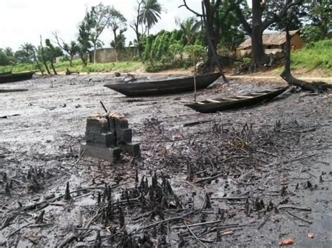 Devastating Effects Of Oil Spill In Niger Delta (photos) - Politics - Nigeria