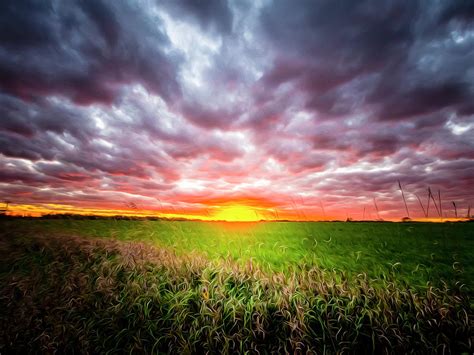 Grassy Sunset - oil paint effect Photograph by Ron Brenner - Fine Art ...