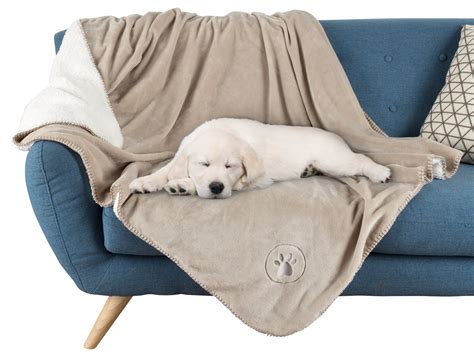 10 Best Dog Bed Blankets 2023 - Reviews & Ratings