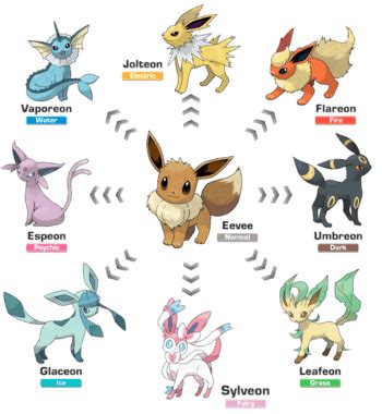 Pokemon Go Eevee Evolution Names | How To Evolve Eevee Name Trick