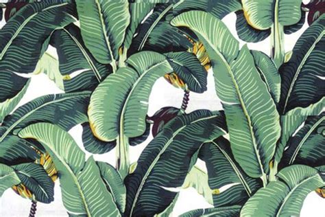 🔥 [50+] Banana Leaves Wallpapers | WallpaperSafari