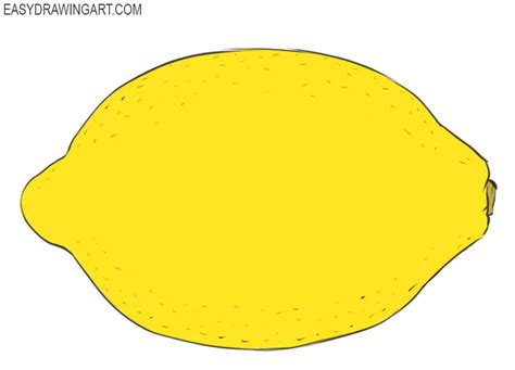 How To Draw A Lemon Slice
