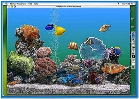 Aquarium Screensaver Mac HD - Download-Screensavers.biz