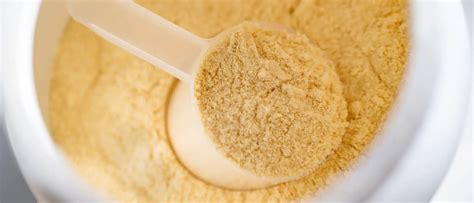 Whey Protein Isolate Versus Concentrate: Which Is Better for Gains