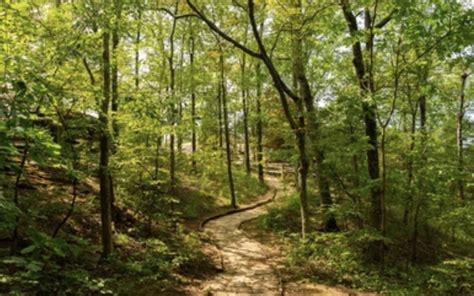 Best Hiking Trails in the Shawnee National Forest |Southern Illinois