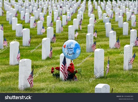 570 Military Gravesite Images, Stock Photos & Vectors | Shutterstock