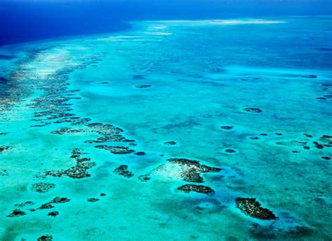 Belize Lighthouse Atoll Reef Adventure - Snorkeling & Kayaking Resort