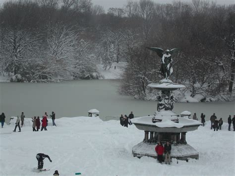 Beauty of a New York City Snowfall