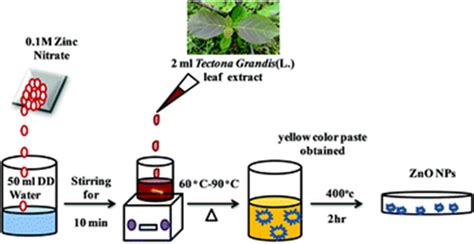 Synthesis of zinc oxide nanoparticles | Download Scientific Diagram