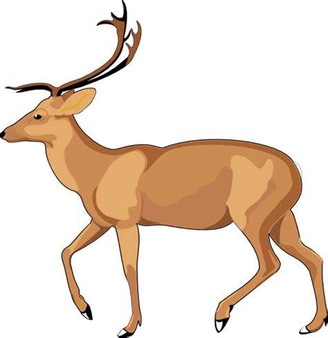 Download High Quality Nature clipart deer Transparent PNG Images - Art Prim clip arts 2019