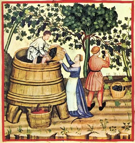 The History of the Wine Press | Sraml