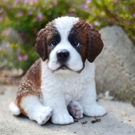 SAINT BERNARD PUPPY - Walmart.com