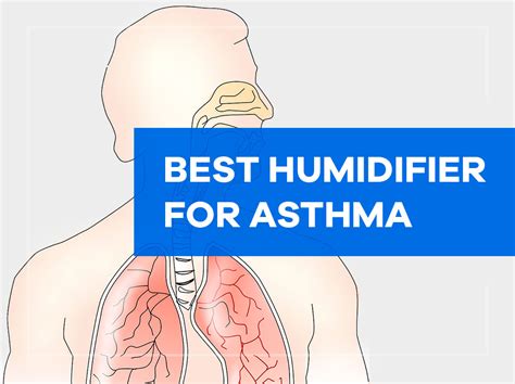 Best Humidifier for Asthma - Buyers Guide - House Cleaning Advice