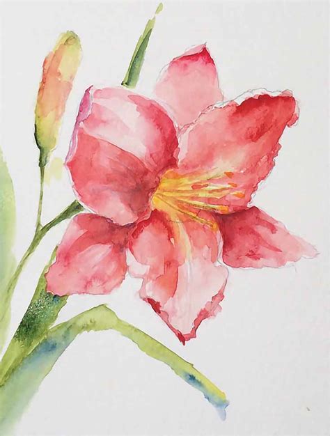 Lily Painting Watercolor