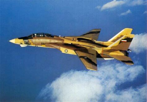 MILAVIA Aircraft - Grumman F-14 Tomcat - Picture Gallery