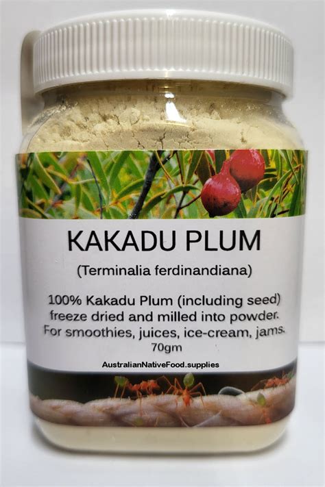 Kakadu Plum, Billygoat Plum an Australian Native Bush Food | Taste ...