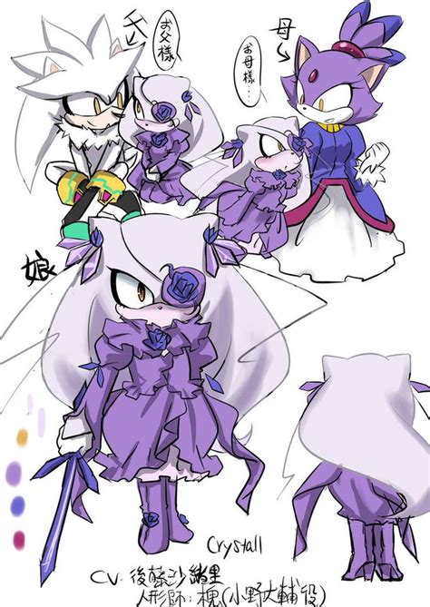 SILVER X BLAZE = CRYSTALL (Barasuisho) | Sonic fan art, Silver the hedgehog, Anime friendship