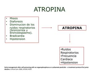 Intoxicacion por carbamatos por lo que es | PPT