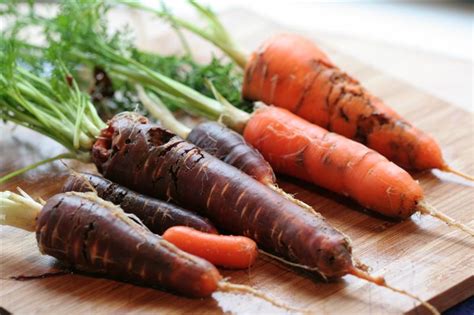 CARROT FLY RESISTANT CARROT VARIETIES |The Garden of Eaden