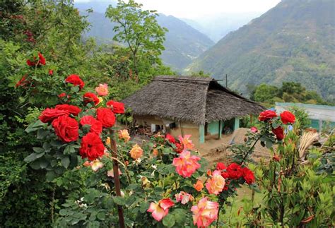 4 Most Beautiful Villages in Sikkim You Need to Visit