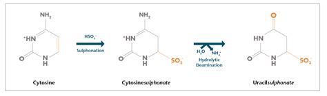 Epi BiSKit - epigenomics