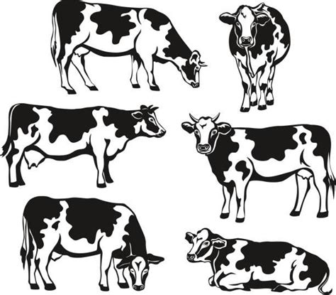 Cow Illustrations, Royalty-Free Vector Graphics & Clip Art - iStock | Cow illustration, Cow ...