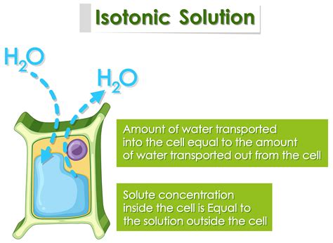 Examples Of Isotonic Fluids