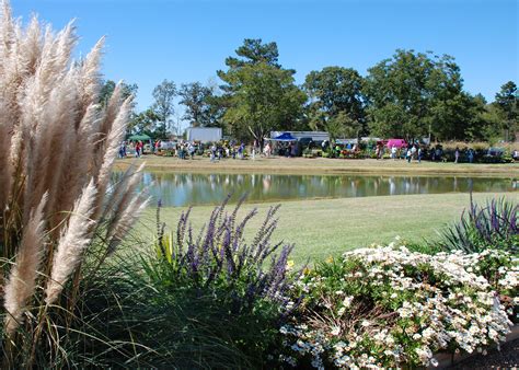 October events celebrate Mississippi landscapes | Mississippi State University Extension Service