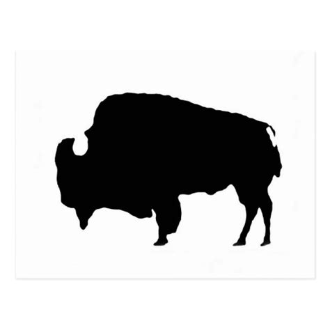 Pop Art Black & White Buffalo Silhouette Postcard | Zazzle