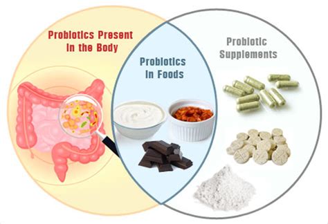 Top Foods with Probiotics - Slideshow