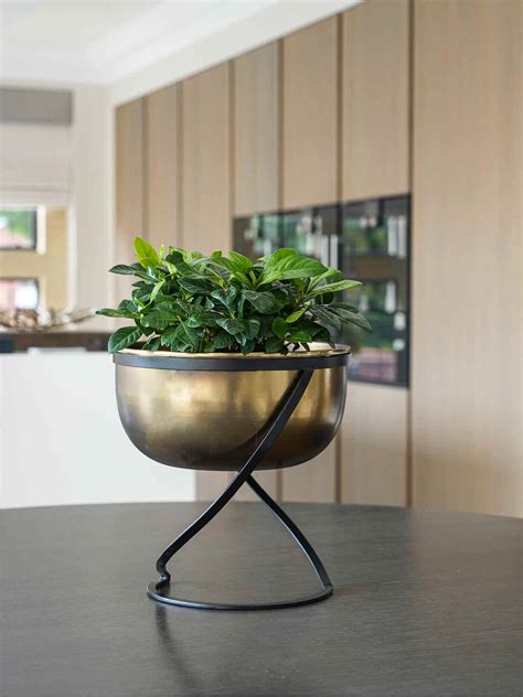 Indoor Planter | Planters Indoor | Indoor Planters UK