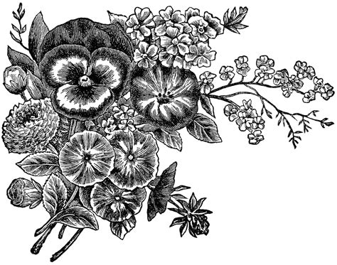 Free Black And White Flower Png, Download Free Black And White Flower Png png images, Free ...