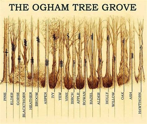 Ogham Symbols and Their Meaning – A List - Symbol Sage