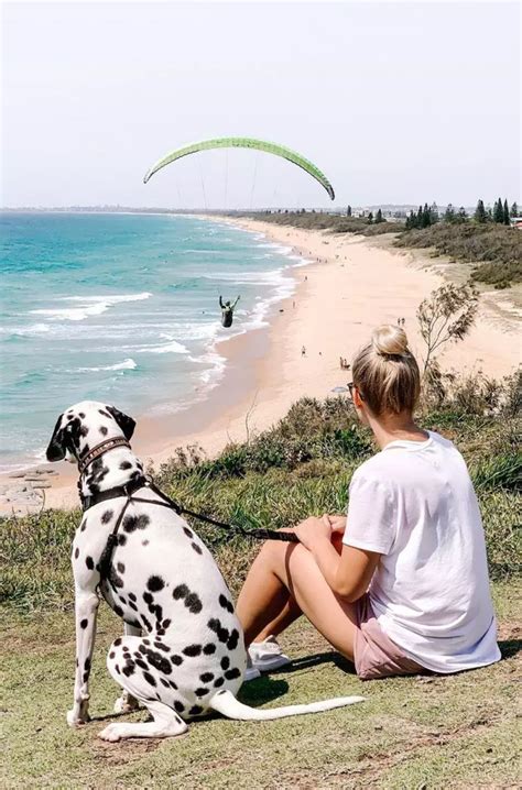 Best Beaches On The Sunshine Coast to Visit | Queensland