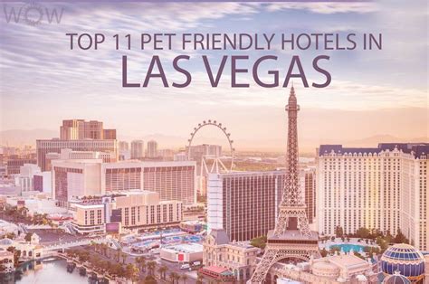 Top 11 Pet Friendly Hotels In Las Vegas | WOW Travel