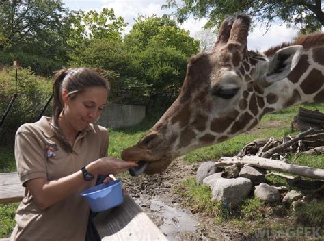 What are the most interesting things I can do while working as a Zoologist?