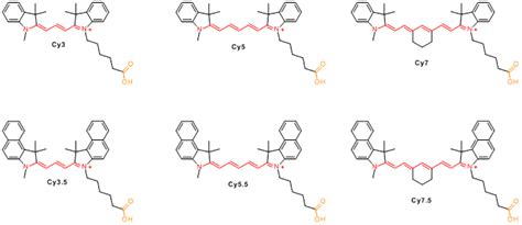 Cyanine dyes