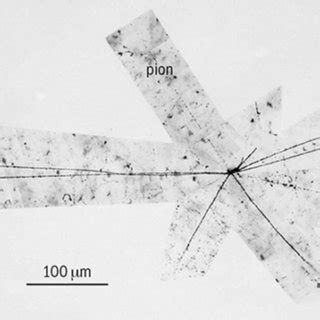 One of the first annihilations of an antiproton observed at the... | Download Scientific Diagram