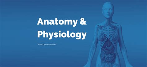 Introduction to Anatomy and Physiology Online Course