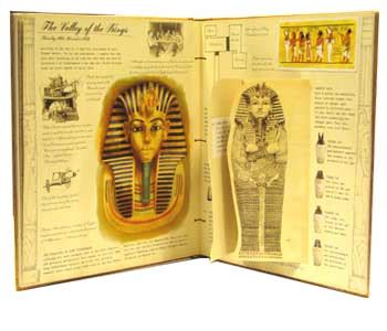 Egyptology by Dugald Steer, Ian Andrew | Waterstones