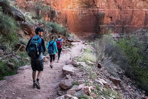 8 Top Grand Canyon Hiking Tour Companies – Otter Hiking