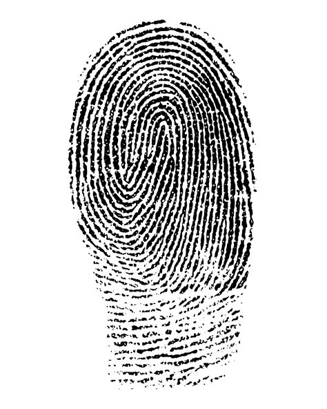 Fingerprint Clipart Free Stock Photo - Public Domain Pictures