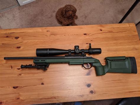 My new Tikka T1X MTR 22LR! : r/longrange