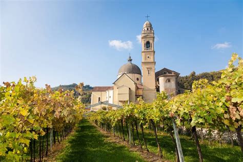 Italian Wine Regions | Wine Guide | Virgin Wines