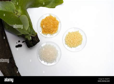 Candelilla Wax Benefits Uses: Where To Buy DIY Recipes!, 55% OFF