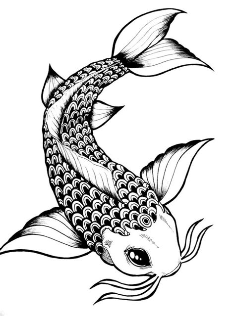 Fish Drawing In Pencil at GetDrawings | Free download