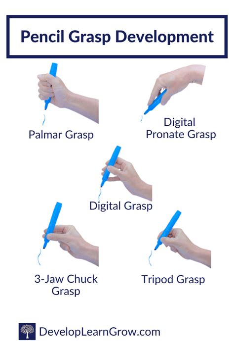 Development of Pencil Grasp - How to Promote a Functional Grasp with 5 ...