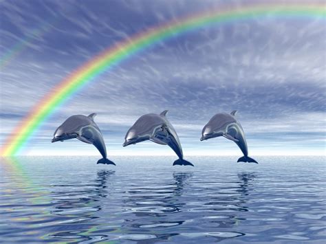 Three dolphins jumping out of the water when a rainbow appears. | Dolphins, Dolphin images ...